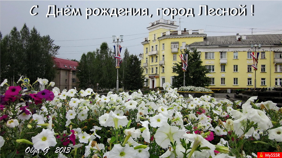 12  -    