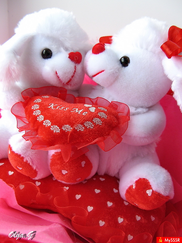 VALENTINE` S DAY