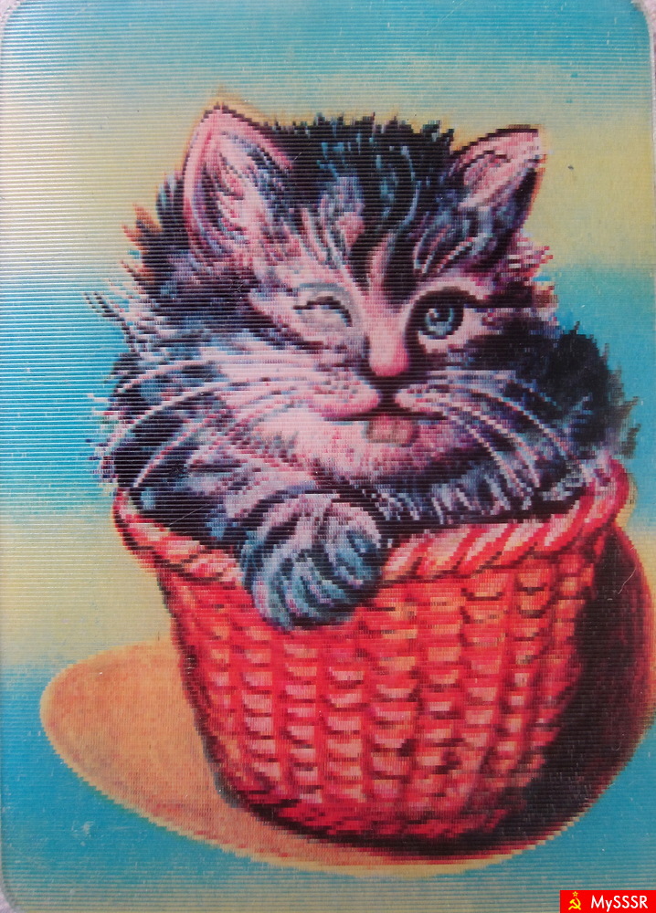  Ҩ