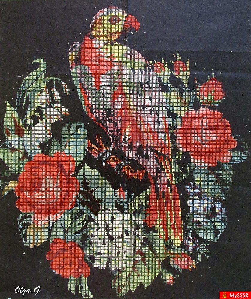    1957   ( )