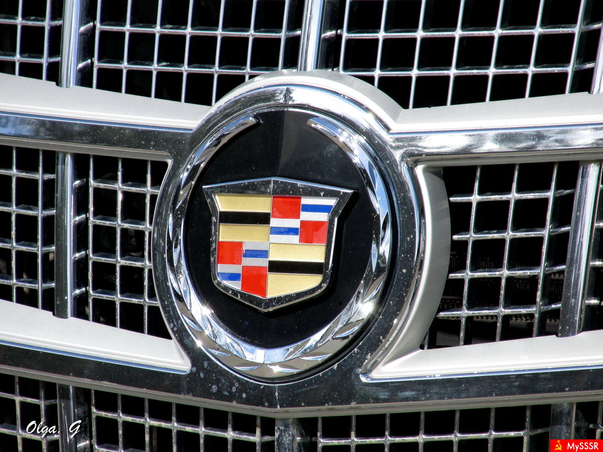 CADILLAC REGNUM       (  )