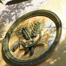 1951 