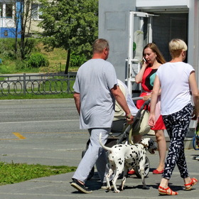 STREET FOTO. LESNOY