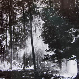   .  . 1962     ( )